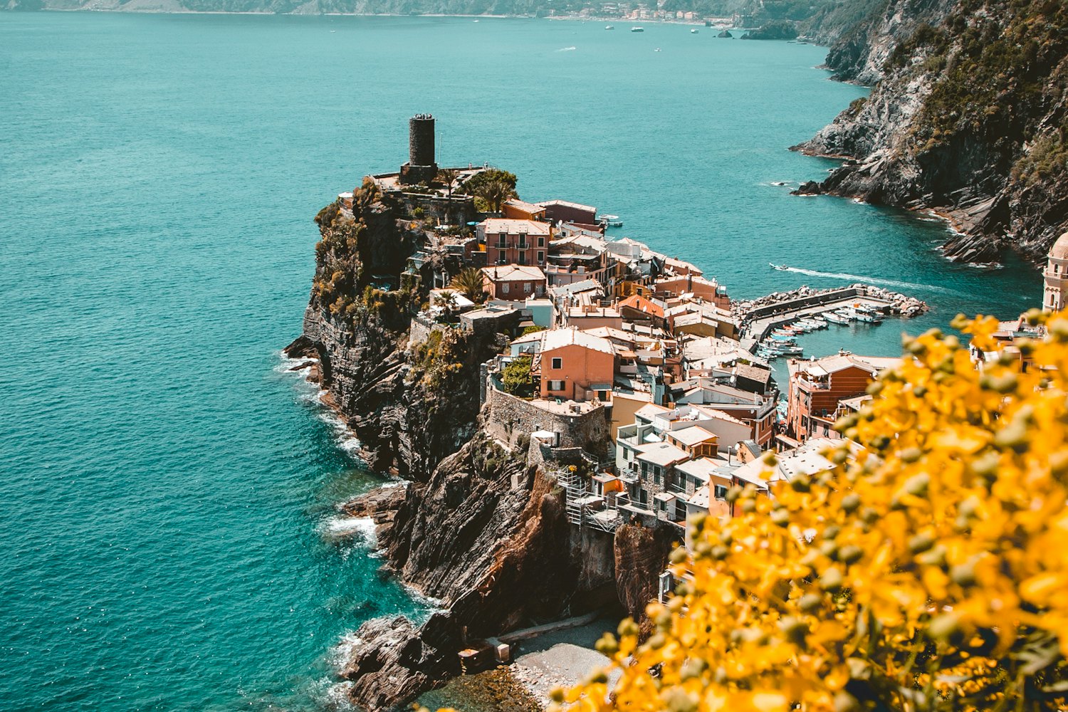 Vernazza, a village on the Italian coast, seen from a hillside with yellow flowers