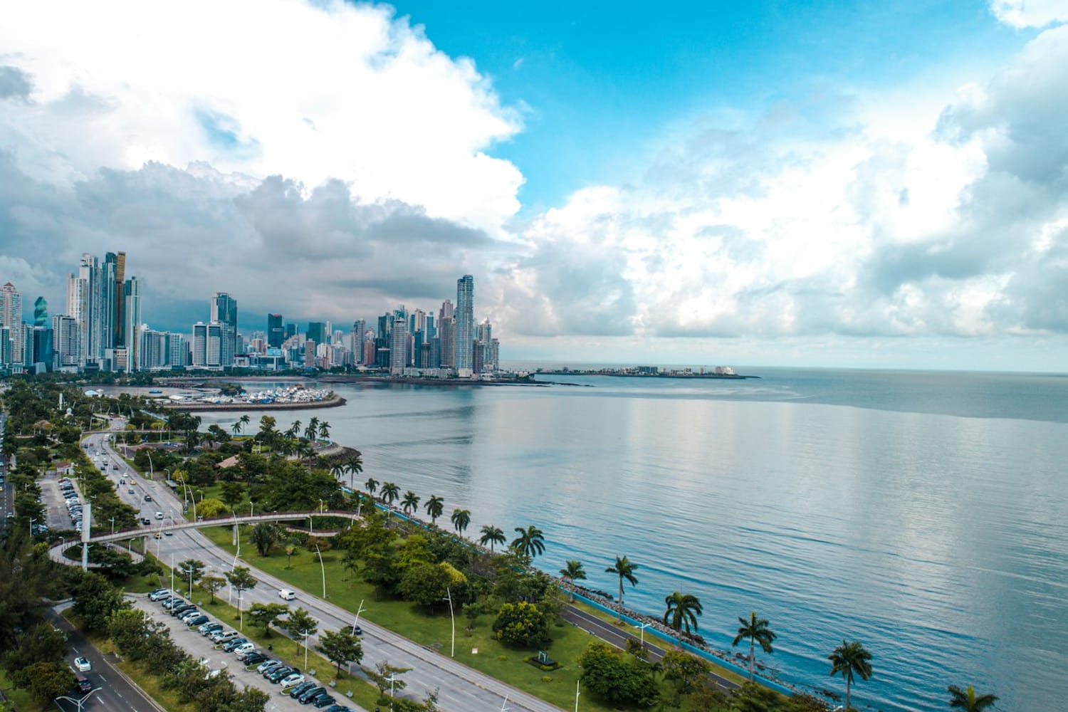 Panama City's skyline along the bay, with palm trees and the coastal avenue