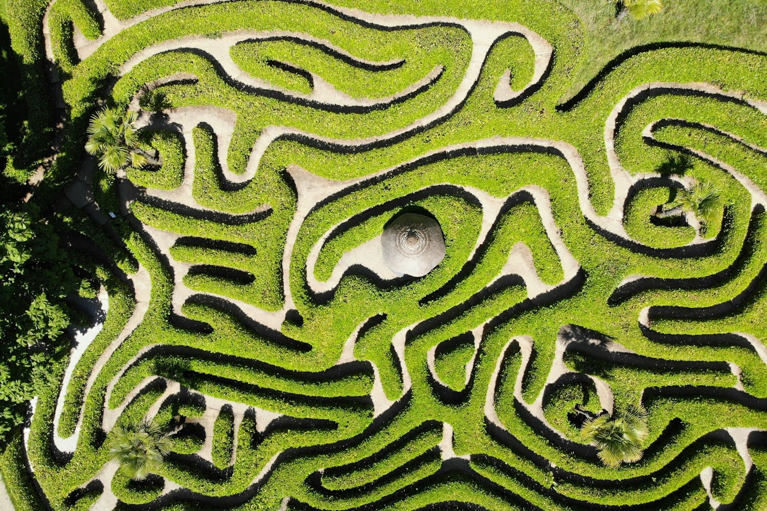 Vista aérea de un laberinto de setos verdes
