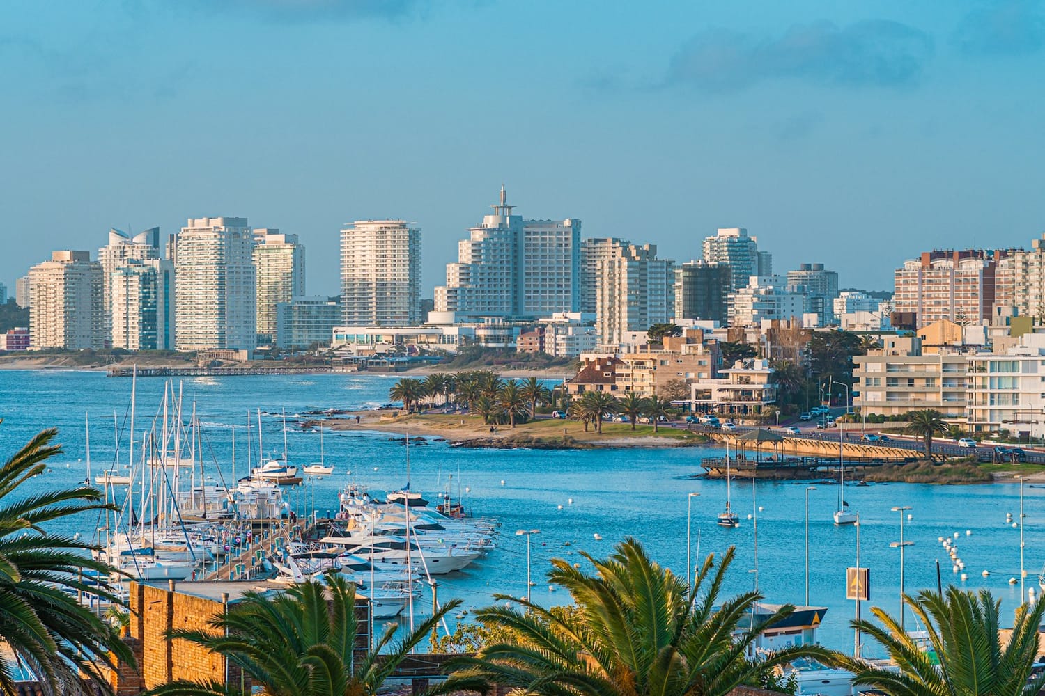 Boats in the harbour of Punta del Este with apartment towers along the coast